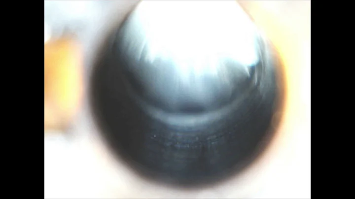 Ruger 10/22 OEM Barrel Chamber