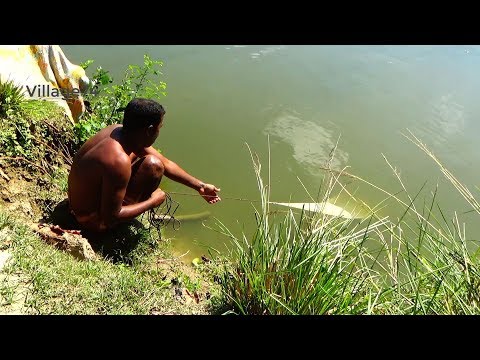 best-cast-net-fishing।fishing-with-cast-net।cast-net-fishing-in-the-village-(part-374)