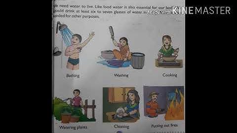 Ecps class 1 EVS chapter 4 food and water part 2 revision