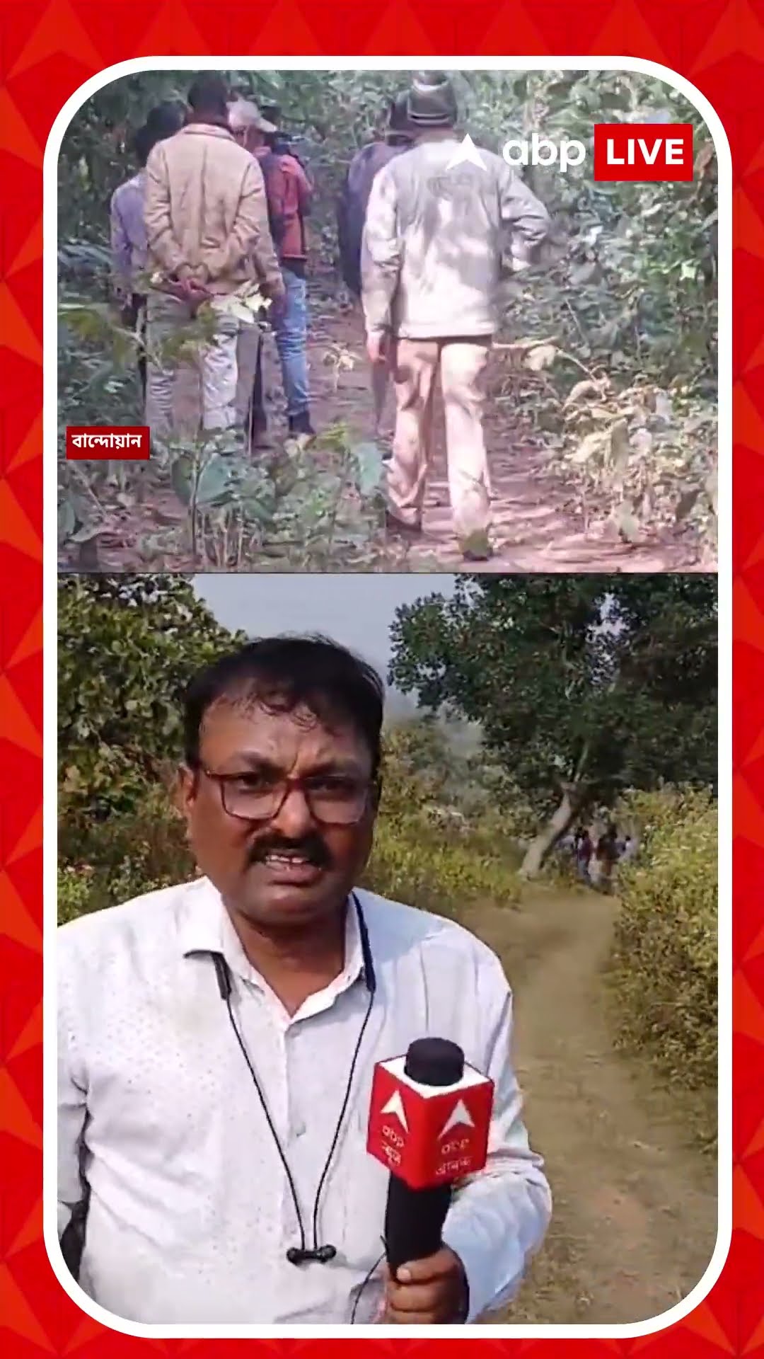 টোপের ছাগল না খেয়ে জঙ্গলে চরতে যাওয়া ছাগল শিকার বাঘের?