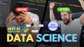 Data Cleaning and Pre-processing | 100 Days of Python: Day 41