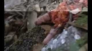 Yeni rivera sex tape