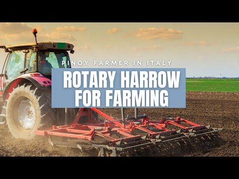 ვიდეო: Rotary Harrow-hoe: მახასიათებლები BMR-12 და MRN-6 მოდელები. დანართების მახასიათებლები. მწარმოებლების მიმოხილვა