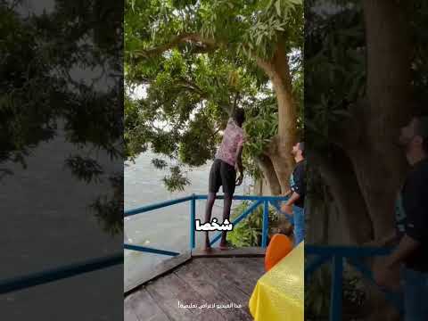 قبيلة العمالقة في جنوب السودان طولهم يتجاوز المترين والسر في نظامهم الغذائي العجيب RedCaption