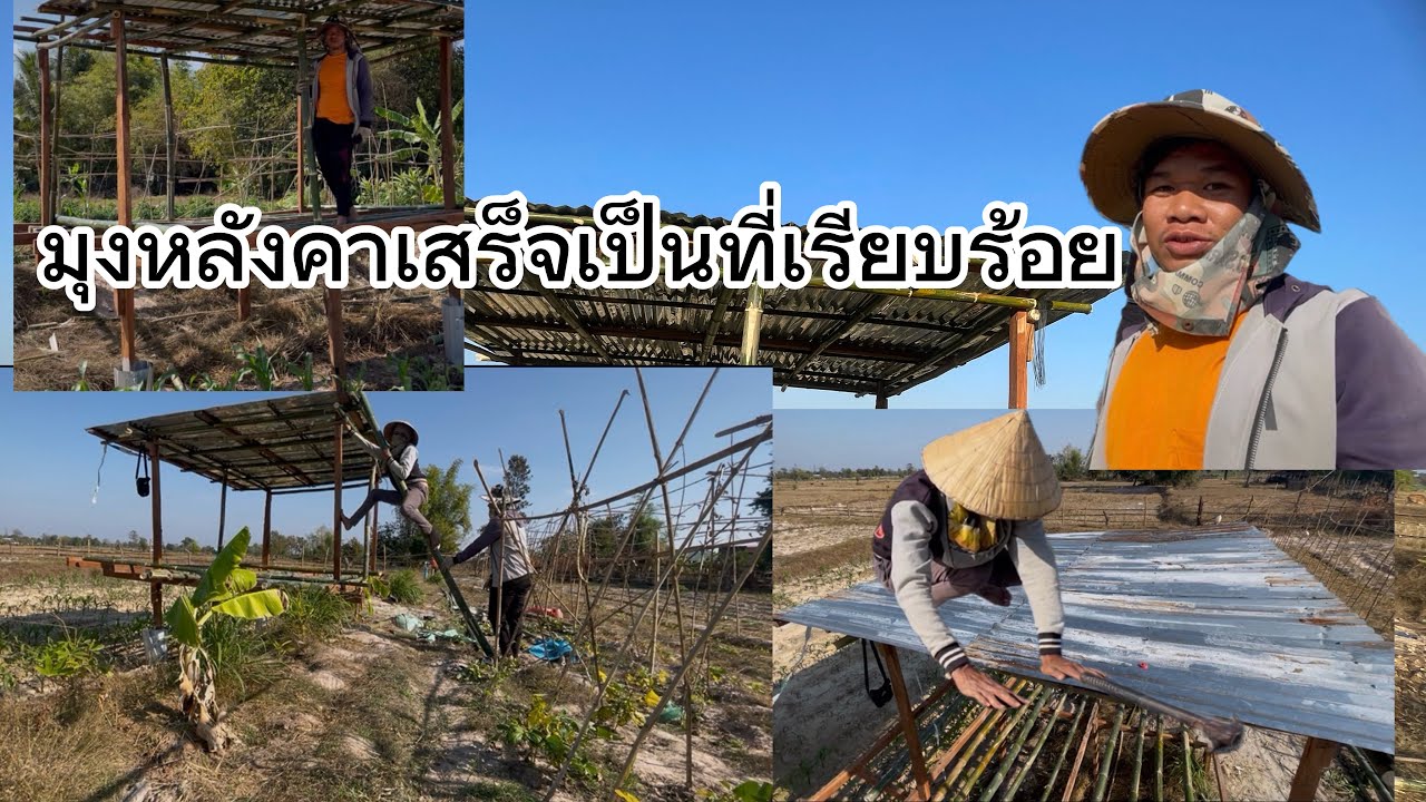 มุงหลังคาเถียงนา ทำด้วยไม้ไผ่เถียงนากลางทุ่ง ￼￼Ep4