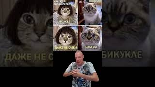 #mellstroy #стример #меллстроймоменты #cats #коты #мемы