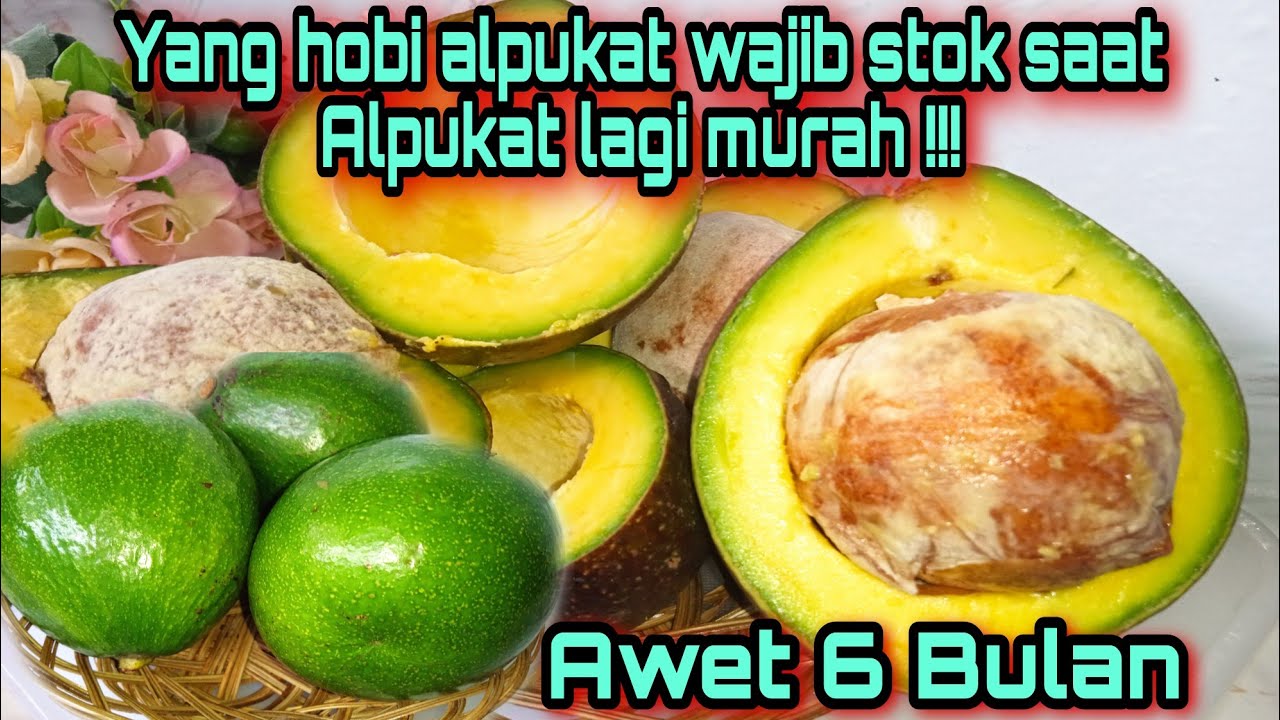 Cara Menyimpan Alpukat Matang Agar AWET ⁉️Alpukat Awet Hingga 6 Bulanan, Bisa Buat Ide Jualan‼️