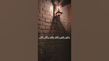 وَكَتَبْنَا عَلَيْهِم فِيهَا أَنَّ النَّفْسَ بِالنفسِ وَالْعَيْنَ بالعين...تلاوة بصوت ماهر المعيقلي🌿