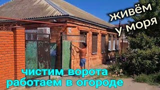 Ейск🌹Зачищаем ворота. Работаем в огороде. А что на обед?)) И многое другое...🏖