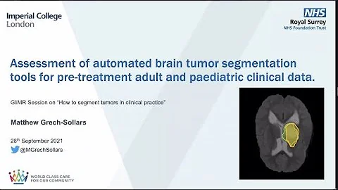 GliMR HNE2021 - Segmentation Workshop - Matthew Gr...