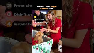 Ranked- Cutest Puppy Surprises Ever