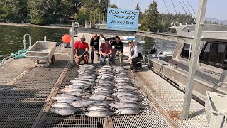 Insane Winter Harbour Albacore Tuna (Vancouver Is., BC)