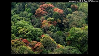 Nee Varoo Vanadevathe..(നീ വരൂ വനദേവതേ..)