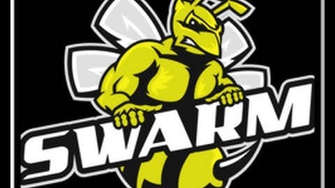 Call Of Duty Black Ops 2- Easy Way To Get A Swarm (Average Players) Swarm Gameplay On Meltdown