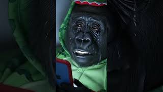 Niños Carroñeros Vs. El Primate De 90 Años Quién Gana?