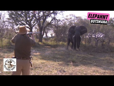 Video: Okavango Delta, Botsvana: Udhëzuesi i plotë