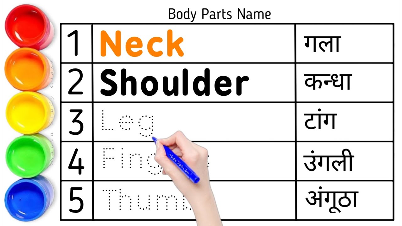 Human Body Parts Name Hindi & English with Pictures | शरीर के अंग | Name of Body Parts, 02