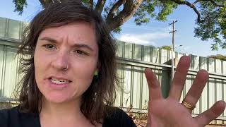 Phosphorescence By Julia Baird.