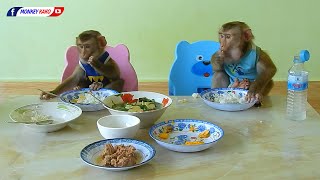 Monkey Eat Rice | Baby Luna & Kako Joining Lunch With Brother