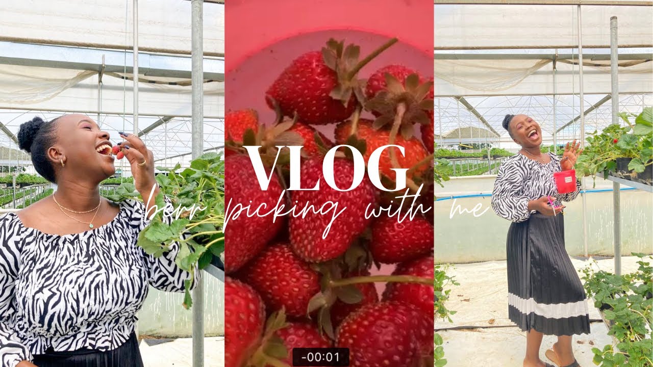 Berry picking in Benoni mini Vlog YouTube