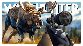 Hunting MASSIVE MOOSE in the Alaskan wilderness (ᵗʰᵉʸ ʰᵃᵈ ⁿⁱᶜᵉ ʳᵃᶜᵏˢ) | Way of the Hunter