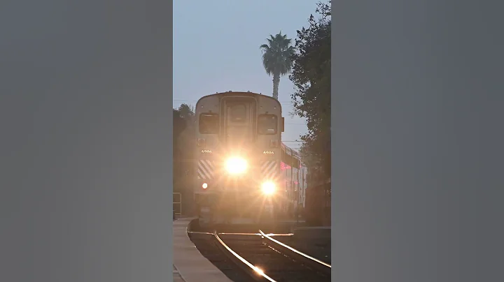 Crazy Hornspam From AMTK 6906 With An Interesting Horn #shorts #viralvideo #train #amtrak