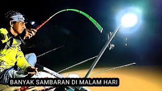 Mancing udang galah dari malam sampai pagi 