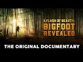 A Flash of Beauty: Bigfoot Revealed (The Official Documentary)