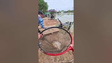 Hồ câu cạnh sân bay? - Sóc Sơn, Hà Lội