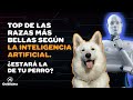 30 razas de perros ms bellas del mundo segn la inteligencia artifical