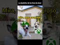 Xbox pierde a Phill Spencer