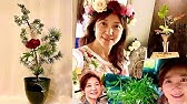 秋意濃濃池坊花道ikebana Japanese Art Of Flower Arrangement 日式自由花插法示範 Milly老師floral 花藝教室 Youtube 秋意濃濃池坊花道ikebana Japanese Art Of Flower Arrangement 日式自由花插法示範 Milly老師floral 花藝教室 Youtube