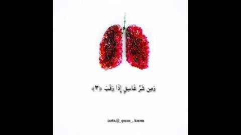 سورة الفلق بصوت هادئ يريح القلب للقارئ احمد النفيس