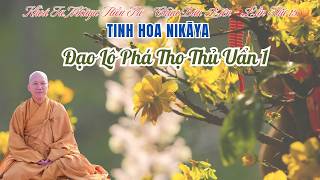 Tinh Hoa NIKAYA - Đạo Lộ Phá Thọ Thủ Uẩn 1