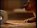 Andrex toilet paper advert
