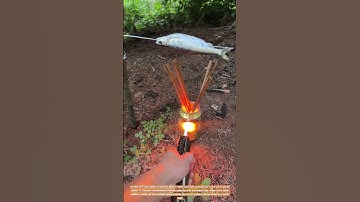 The Power of a Butane Torch: Cooking Fish Outdoors