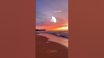 القارئ احمد خضر