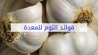 فوائد الثوم للمعدة