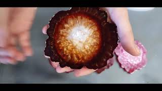 Resin Dragon Scale , webbing effect Compilation