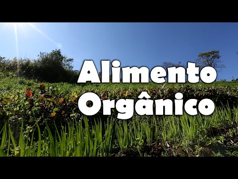 Vídeo: O Que é Comida Orgânica