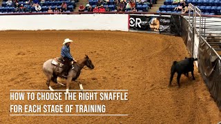 How to Choose the Right Snaffle for Each Stage of Training