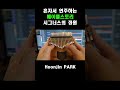 혼자서 합주하는 메이플스토리 시그너스의 정원 #Shorts