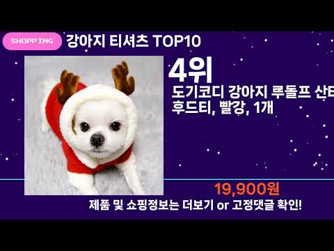 쇼팡맨TV 강아지 티셔츠 TOP10 l 잘나가는 인기상품 꿀매물 핫아이템 추천
