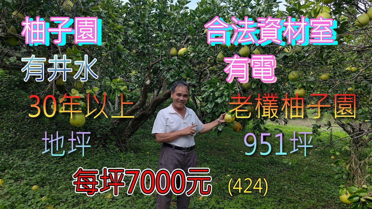 (424) 每坪7000元，售698萬，西湖鄉柚子園+合法資材室，有井水，有電，30年以上老欉柚子，地坪951坪   (424)
