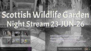 Night Stream June 23rd 2026 | Bird Feeders, Wildlife Cameras Scotland UK from SWG