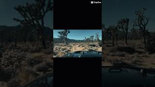 Jeeping burns canyon/Joshua Tree forest