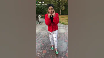سامر المدني تيك توك مهرجان اي كتكوته 