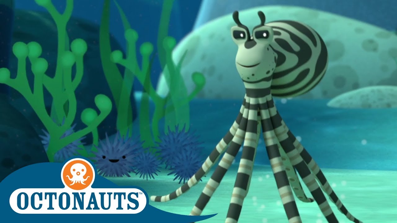 Octonauts - The Master of Disguise | Compilation | Cartoons for Kids ...