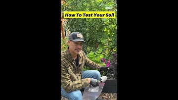 Soil Testing 101: How To Properly Take A Soil Sample