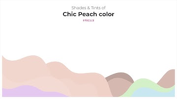 Shades & Tints of Chic Peach color #f0d1c8 A Warm Yellow color #d5b9b1 #baa29b #f1d6ce #f3dbd4